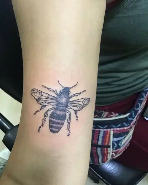 Dark Maori Tattoo & Piercing Studio | Pokhara